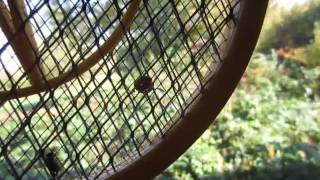 Modified Harbor Freight Bug Zapper frying up a couple of bugs