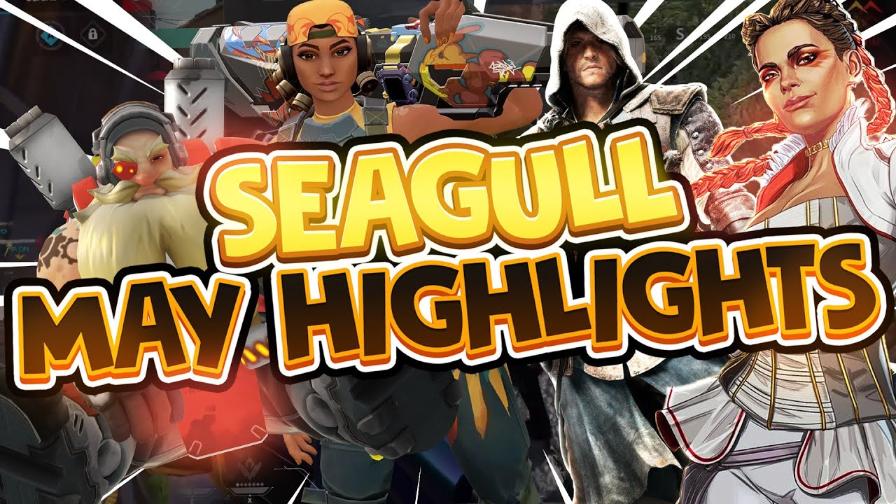 SEAGULL MAY STREAM HIGHLIGHTS