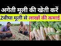 मूली की खेती से लाखों की कमाई करें!! #mooli #moolikikheti #jeetufarming