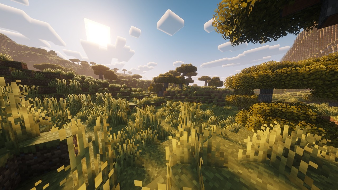 where do you belong when you don’t belong anywhere?