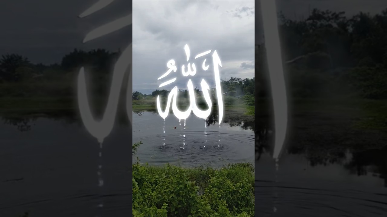 aaye shere arab 🤲 #shorts #viral #ytshorts #youtubeshorts