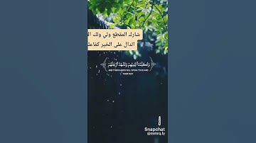 قرآن كريم...نشر ومتابعة الدال على الخير كفاعله..✅️