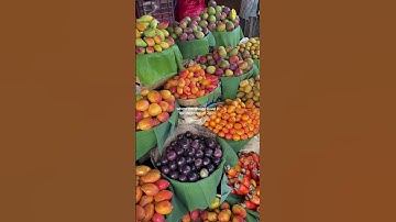 Your next travel destination for 2026, do you agree? 😍  #workfromanywhere #travel #digitalnomad