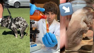 Cloning a Dog worth 50,000$ in a DNA Laboratory🧬(FULL VIDEO)