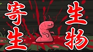 レトルト 実況 の素顔が流出 原因は1枚の写真だった 年齢はいくつ 本名など解説 ペンタニュース