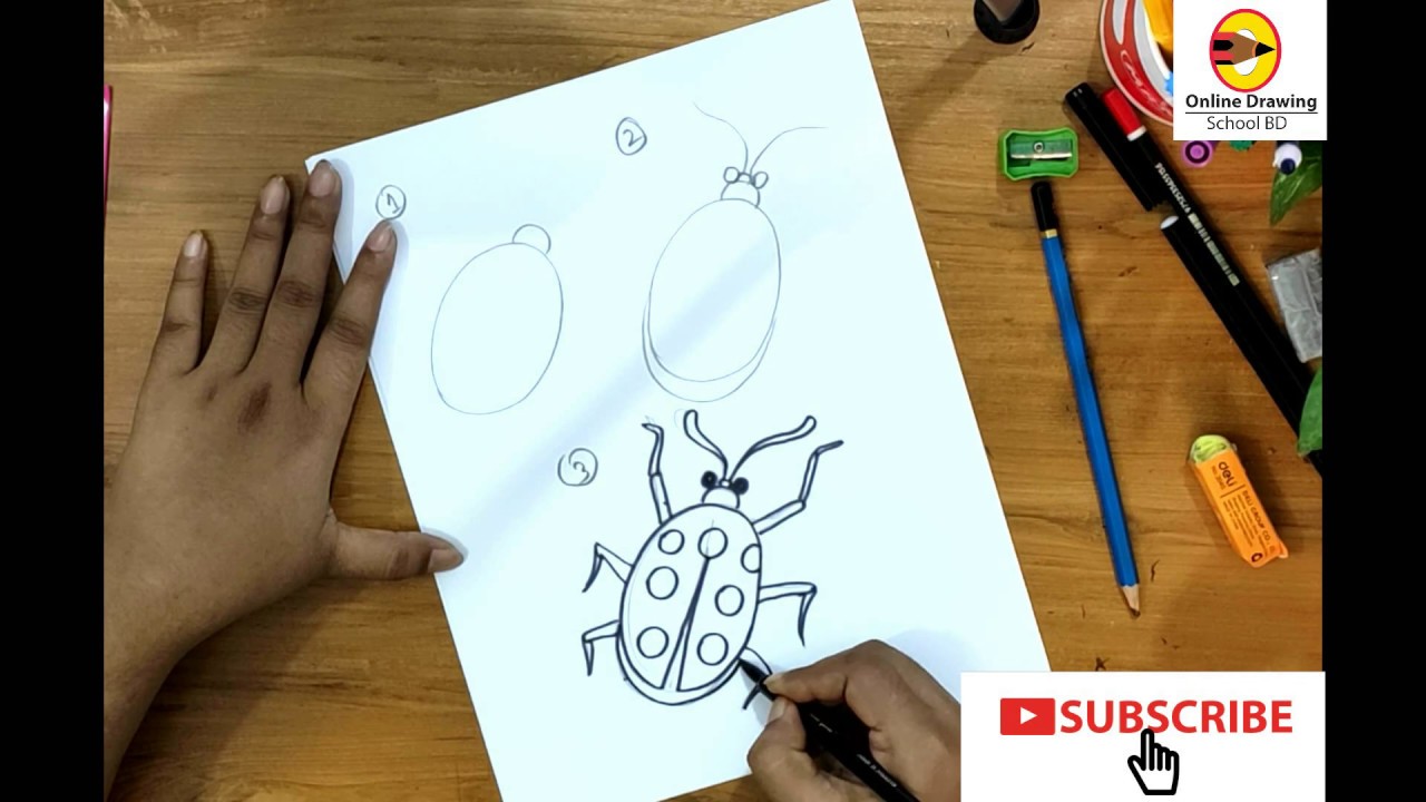 How to Draw a Ladybug : step by step - YouTube