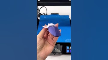 Geeetech Mizar M Dual Color Printing-Whale Shark🐬