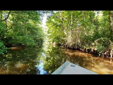 კოლხეთის ეროვნული პარკი (Kolkheti National Park)