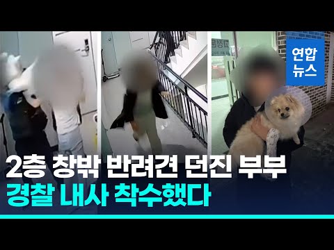 아이 보든 말든 2층 창밖으로 반려견 <strong>던진</strong> 부부…<strong>경찰</strong> 내사 / 연합뉴스 (Yonhapnews)