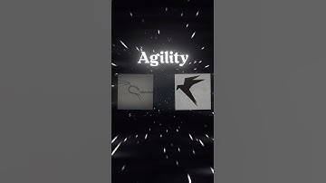 🐉 KALI LINUX VS PARROT OS 🦜 | ~ Pentesting Kings💀🔥 | #hackwithantor | #linux #windows #cybersecurity