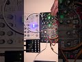 0-Coast | Hologram Microcosm | Wingie 2 • 4