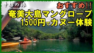 激安!?コスパ最高1500円で奄美大島マングローブカヌー体験「黒潮の森マングローブパーク」～辛坊の旅～