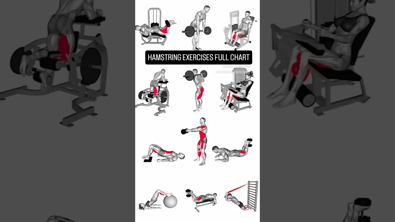 Hamstring exercises chart