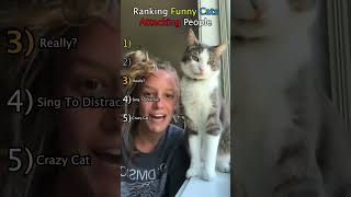 Funny Cats Attacking People! 🐱😂 #cat #funny #pets #memes