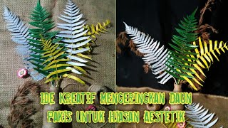Cara mengeringkan daun pakis