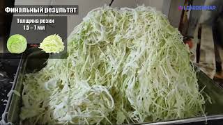 видео: Машина для шинковки капусты Leaddenmar Cabbage Slicer L3000 | Полный обзор от Профи картинка: Машина для шинковки капусты Leaddenmar Cabbage Slicer L3000 | Полный обзор от Профи