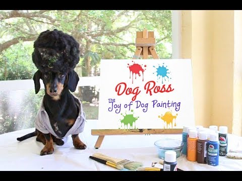Dog Ross Returns