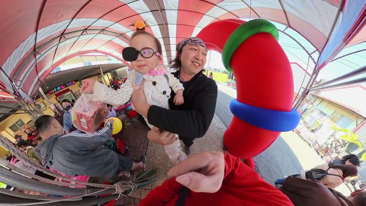 2026曾厝村 拔蘿蔔