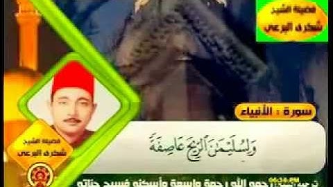الشيخ شكري البرعي مقطع من سورة الأنبياء