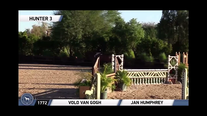 Volo Van Gogh - 33 Performance Hunters at Desert International Horse Park