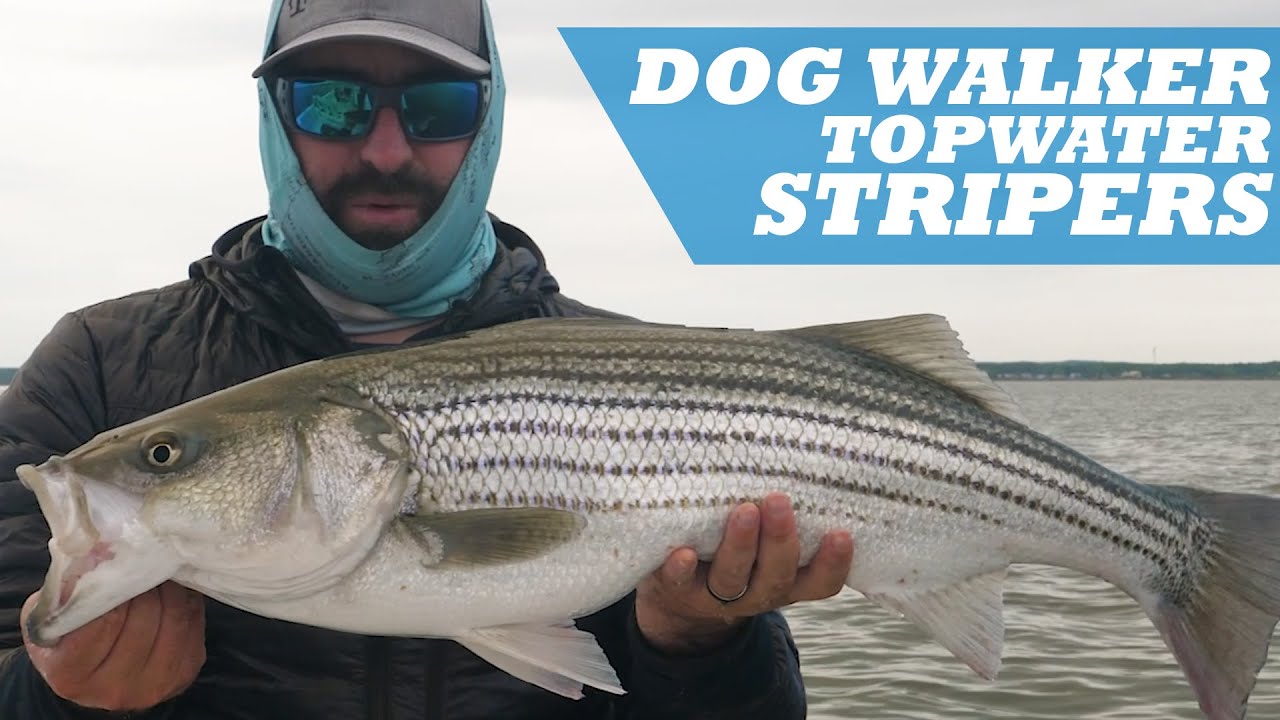 best fishing pole for hawaii Hawaiian Anglers Fight The Elusive Ulua