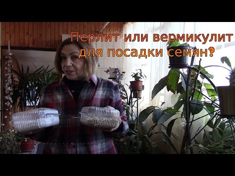 Видео: Перките и странностите на датирането на писател