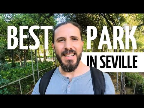 Visiting an oasis in the heart of Seville - Daily Beginner - Visiting an oasis in the heart of Seville - Daily Beginner