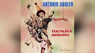Antonio Adolfo - Grammy Nominee Talks About His New Album & The Golden Age Of Carnaval Songs 7