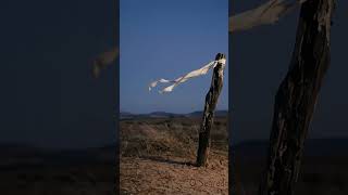 o segredo trexo dr Jéssica da Silva Martins