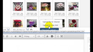 Hướng dẫn sử dụng module Shop Nukeviet 4