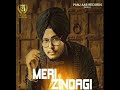 Meri Zindagi Param New Punjabi Songs Latest Punjabi Songs Panjaab Records