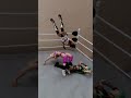 Iyo Sky moonsault to Charlotte #iyosky #charlotteflair #short
