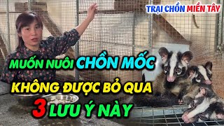 Bà Con Muốn Chăn Nuôi Chồn Mốc Cần Nhớ Kỹ 3 Lưu Ý Này | Hướng Dẫn Cách Nuôi Chồn Khỏe Mạnh