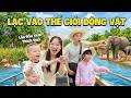 MiMi, MiLo Lần Đầu Xem Show Chim Và Đi Thuyền Ngắm Động Vật Hoang Dã - Gia Đình MiMi Đi Sở Thú