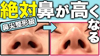 【鼻尖整形級】団子鼻を解消しよう！鼻筋を絶対に綺麗にする方法！