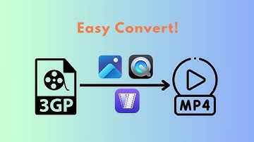 Easiest Ways to Convert 3GP to MP4/MOV on Win & Mac