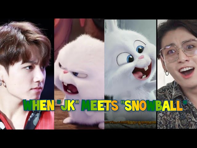 When JK Meets SnowBall AHH Correction Needed.,. When BUNNY Meets BUNNY🐰🤭😂🍭🧁 class=