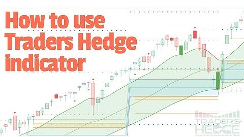 How to use TRADERS HEDGE indicator