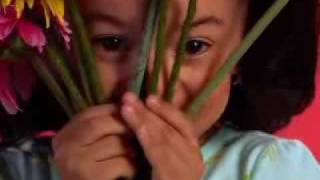Discovery Kids Jack E O Show De Msica Descendo A Colina