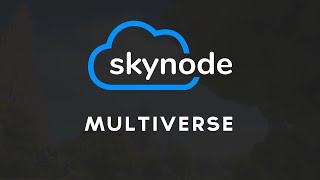 Multiverse | Skynode Tutorial Series