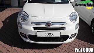 Fiat 500X 2016 (Tailored Floor Mats & Trunk liner fitting video by Gumarny Zubri)