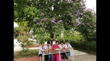 Kể chuyện " Bác chỉ muốn các cháu được học hành ". Giáo viên " Nguyễn Thị Tươi, TH&THCS Minh Châu