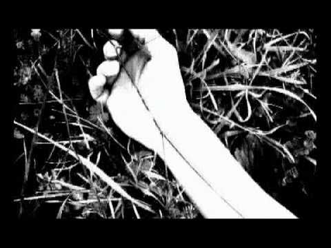Marco Parente - Adam ha salvato Molly