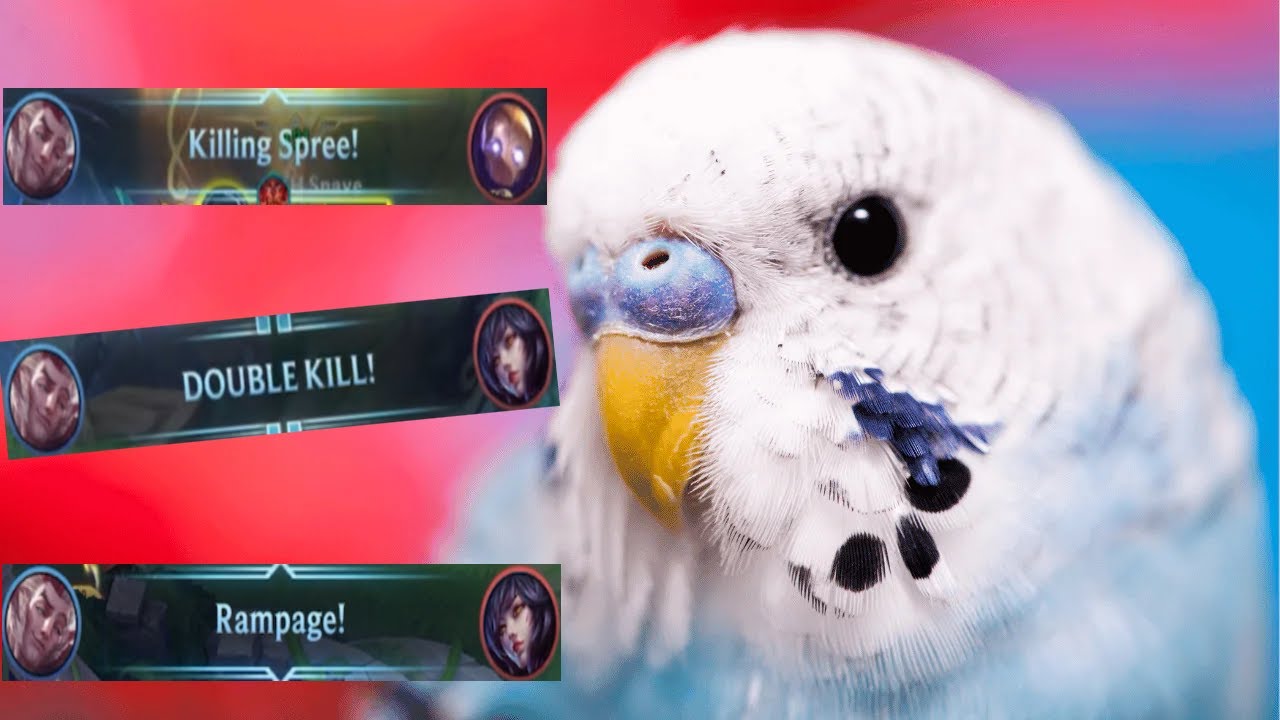 Wild Rift: NERF RAKAN