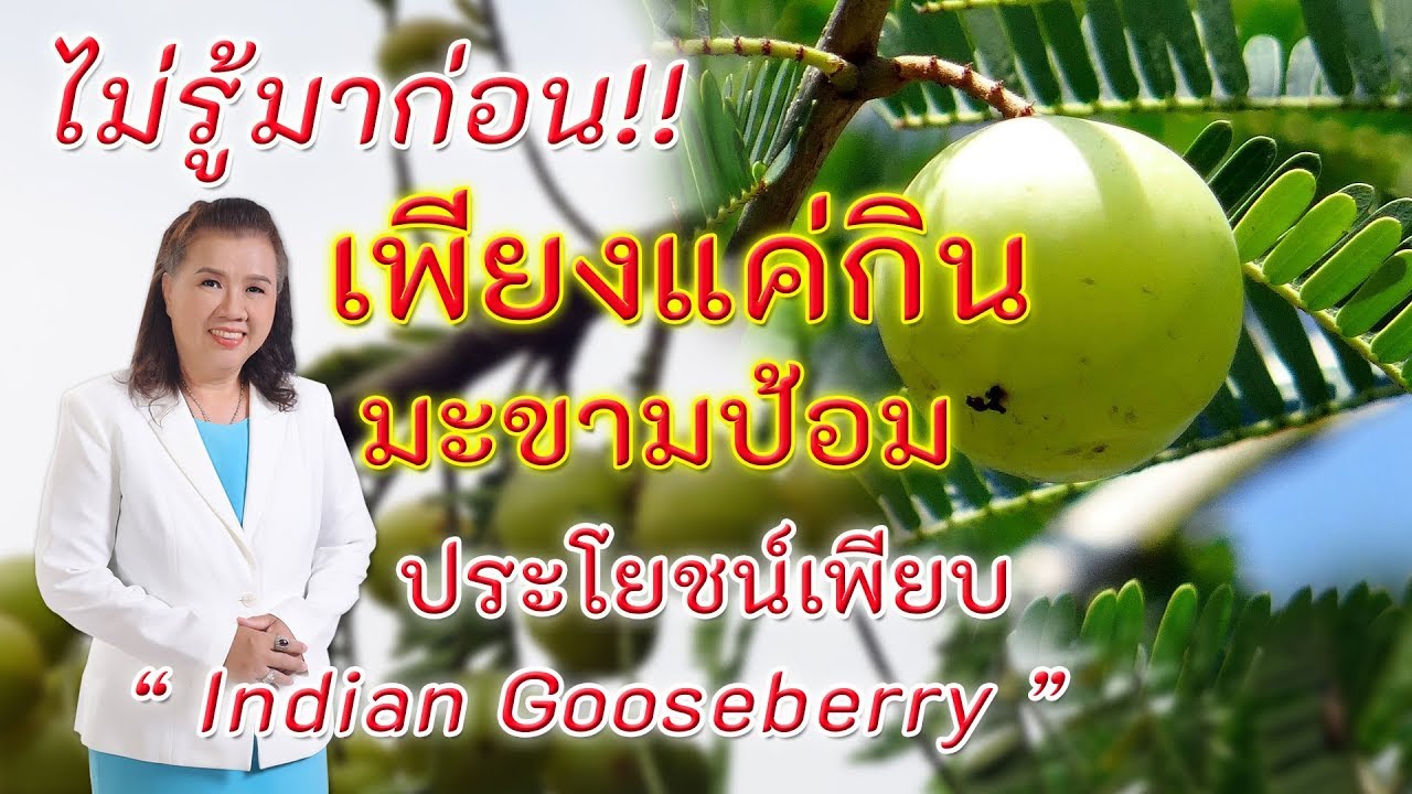 ไม่รู้มาก่อน !! เพียงแค่กินมะขามป้อม ประโยชน์มาก ห้ามพลาด | Indian Gooseberry | พี่ปลา Healthy Fish