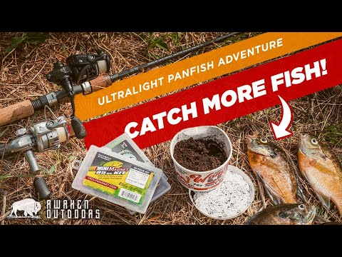 Fun Fish to Catch from the Bank  Ultra Light Fishing Challenge 