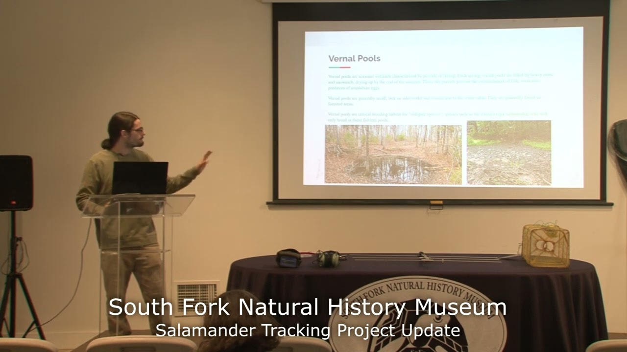 South Fork Natural History Museum Salamander Tracking Project - 5/25