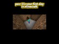 your first day in minecraft