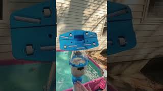 Handheld Pool Vacuum Test — Worth It? #garvee #pool #outdoors