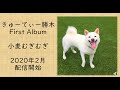 音楽|きゅーてぃー勝木 「小麦むぎむぎ」トレーラー映像 2020.02 on sell. cuty KATSKI Komugi mugimugi new album trailer video.
